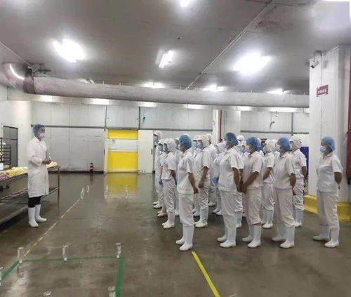 勞動競賽進行時，技能比武展風采，提質增效創佳績——中百生鮮公司中式面點加工廠職業技能大賽小記