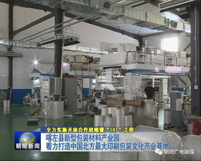 年產(chǎn)值20億元包裝產(chǎn)業(yè)園崛起，26家包裝印刷廠共筑產(chǎn)業(yè)新高地