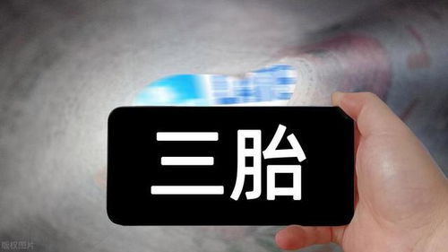 三胎概念龍頭沉睡五年終覺醒，中報(bào)預(yù)增2000%引爆市場(chǎng)，機(jī)構(gòu)重倉布局目標(biāo)劍指12連板